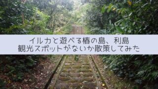 利島の観光スポット