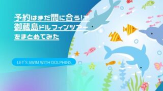 御蔵島ドルフィンツアー
